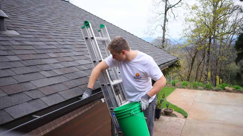 Gutter Cleaning image