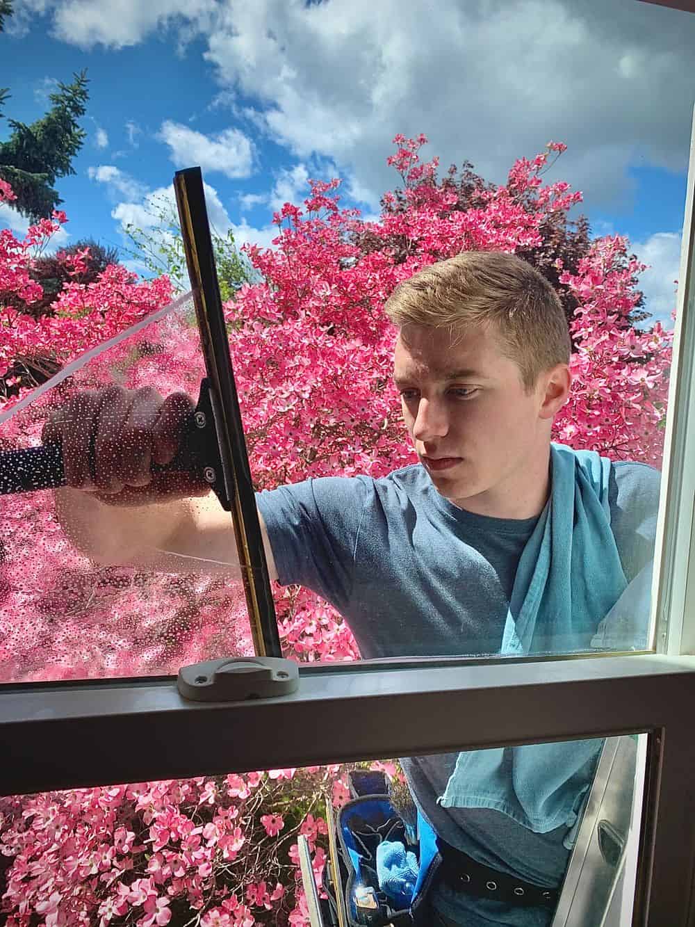Exterior Window Cleaning image